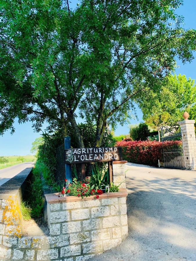 8380 Agriturismo L'Oleandro Montemerano Buitenkant foto